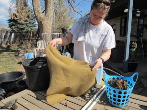 We used the bigger basket- the recently fished out lily is in the smaller one.