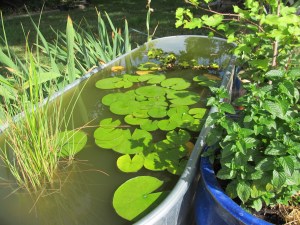 See, at the end, it's like an infinity-edge pool, except not...