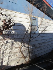 Yeah, I can see why you would say that it was not optimal to have a tree right there.