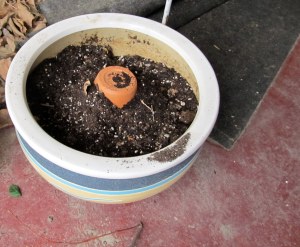 An upside-down 8 inch pot fills up space and still allows drainage.