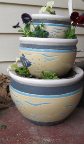 Pansies and petunias should work well on my shady front porch. In a sunnier spot, I'd put in marigolds and dahlias.
