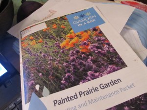 I took pictures of planting time, but only with my phone,  Remind me to use my real camera...